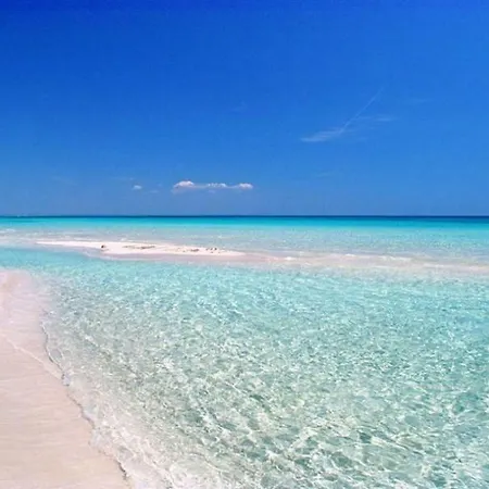 Ciack Si...dorme! Lejlighed *