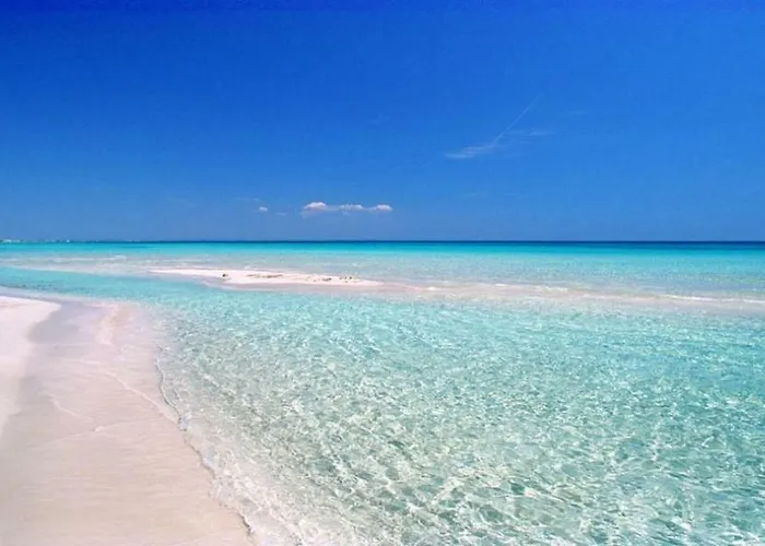 Ciack Si...dorme! Appartamento *